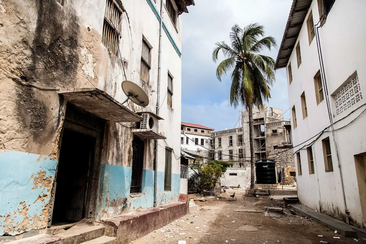 Ruelle étroite de Stone Town bordée de bâtiments patinés par le temps et d’un palmier