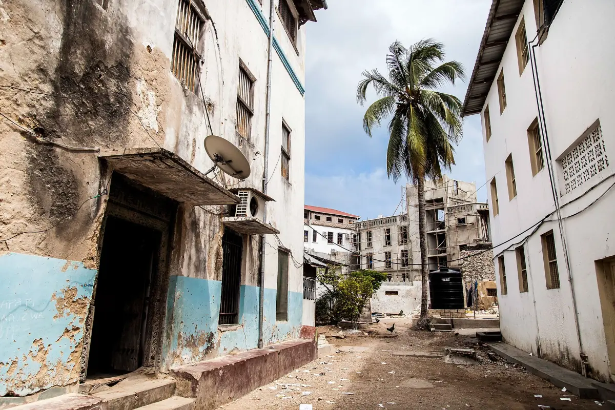 Schmale Gasse in Stone Town mit verwitterten Häusern und einer Palme